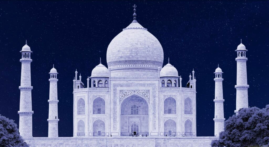 2 - Will - Abdul Hamid: The Subcontinent’s Audie Murphy